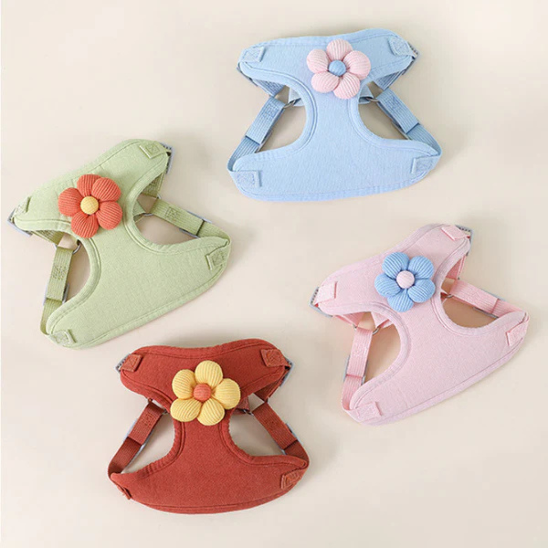 Comfort Go Set