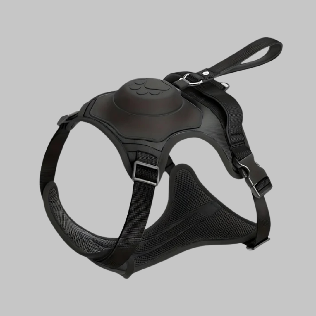 Comfort Pro Max
