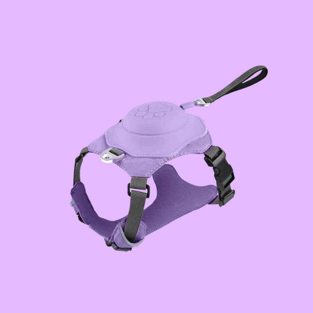 Comfort Pro Mini
