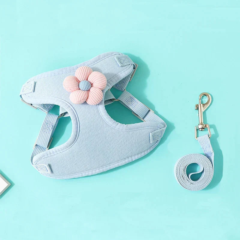 Comfort Go Set