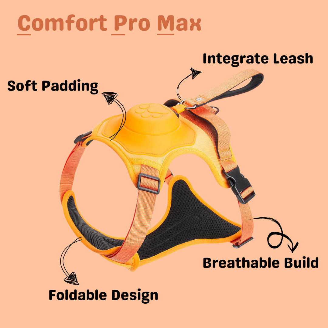 Comfort Pro Max