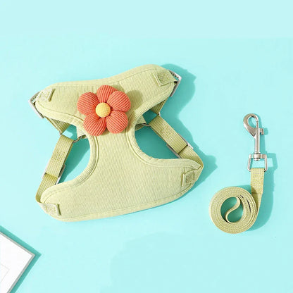 Comfort Go Set