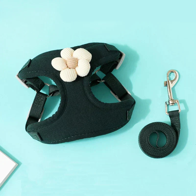 Comfort Go Set