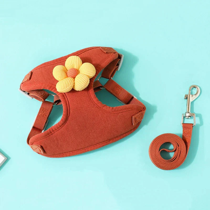 Comfort Go Set