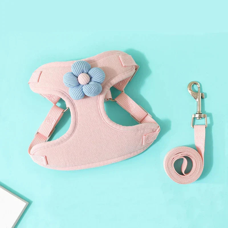 Comfort Go Set